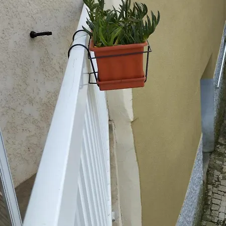 Holiday home Casa Do Carvoeiro